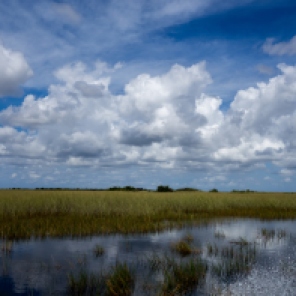 Everglades National Park in Florida is the largest wilderness of any kind east of the Mississippi River, visited on average by one million people each year.